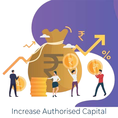 Services for increasing authorized capital to expand business funding and operations.