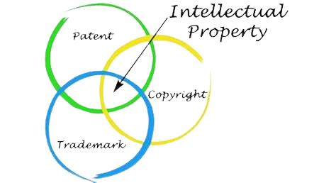 Intellectual Property Rights and Legal Protections